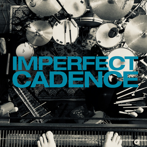 Imperfect Cadence (Radio Edit)