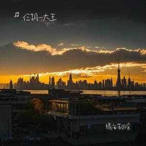 星夜下的恋曲