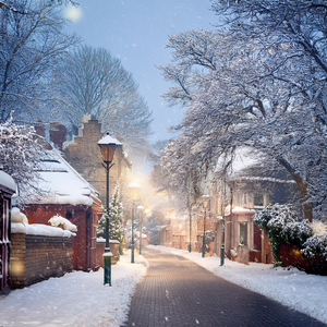 눈꽃이 피어나는 거리