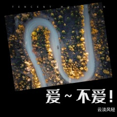 一半疯了一半算了 (纪东育 remix)