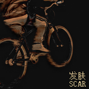 发肤 SCAR