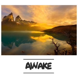 Awake