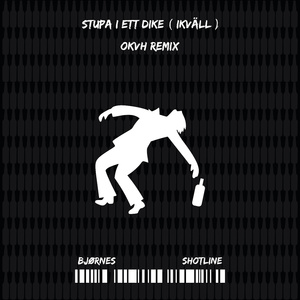 STUPA I ETT DIKE ( IKVÄLL ) OKVH
