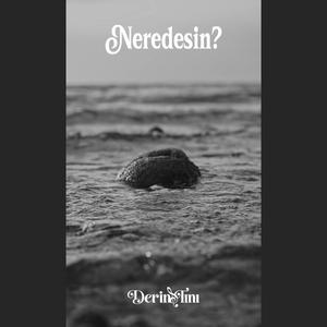 Neredesin?