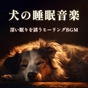 愛犬と共に安らぐ夜