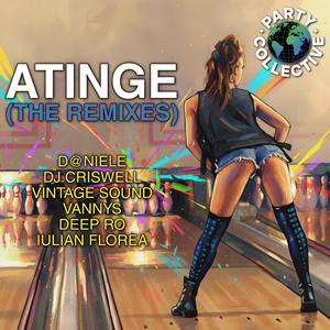Atinge (feat. Irina Sarbu) (D@Niele Remix)