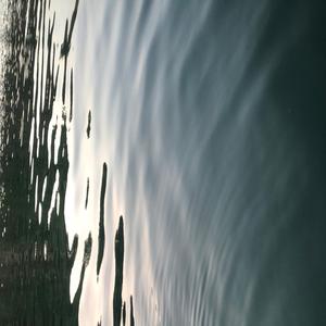 Money Dance (feat. Tino Szn)