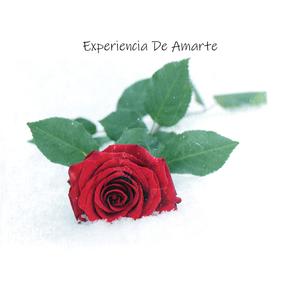 Experiencia De Amarte