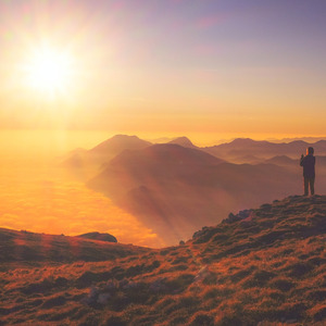 Qualitative Analysis