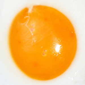 pareidolia (feat. Sara Wakui)