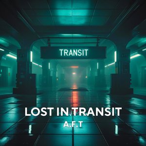 Lost in Transit
