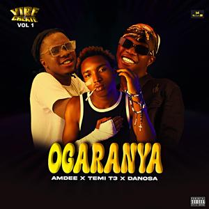 Ogaranya (feat. AmDee, TEMI T3 & Danosa)