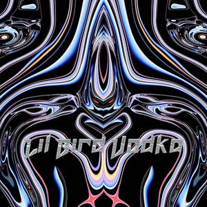 Lil Bird Vodka·小鸟伏特加