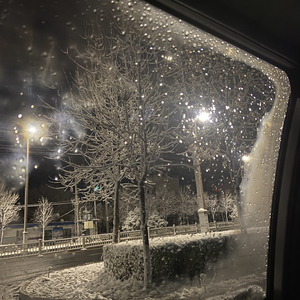 狮子猫（翻自 喻言）