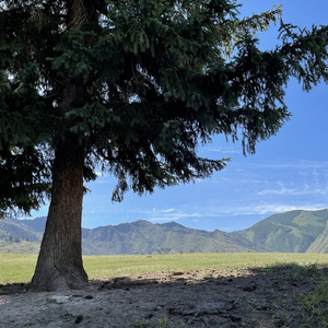 天荒 (动画片《天荒战神》主题曲)