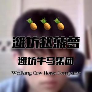 潍坊赵菠萝 feat.Yyy_PEI 伴奏