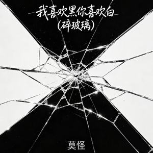 我喜欢黑你喜欢白（碎玻璃）