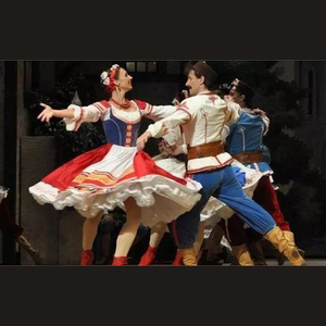 「二胡」 查尔达什（翻自 无）