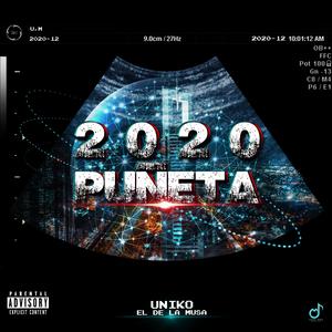 Puneta 2020