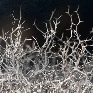 La Graciosa, 5 De Diciembre De 2023