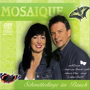 Schmetterlinge im Bauch (Radio-Mix)