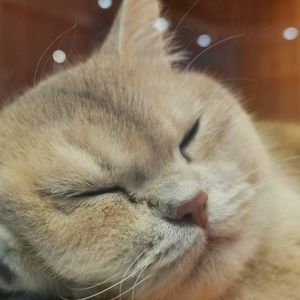 青年的孤独远游与心的归处