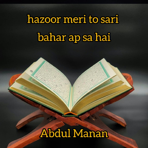 hazoor meri to sari bahar ap sa hai slowed & reverb