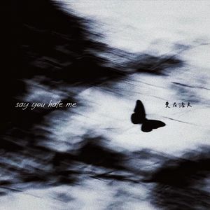 say you hate me（祝你忘记我)