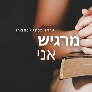 מרגיש אני (Radio Edit)