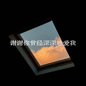 谢谢你曾经深深的爱我