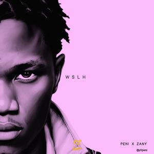 WSLH (feat. Not Zany)
