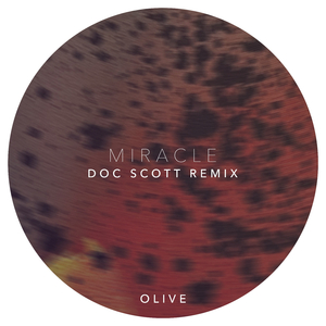 Miracle (Doc Scott Remix)