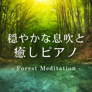 瞑想ソルフェジオ -Healing Forest- (寝落ちのピアノの森 α波→θ波→δ波)
