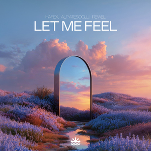 Let Me Feel