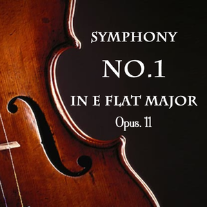 降E大调第一交响曲，Op.11：第一乐章，不太快的快板