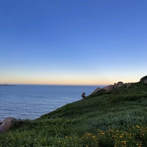 第一次做人(热播版Live)-张远（小酒.S remix）