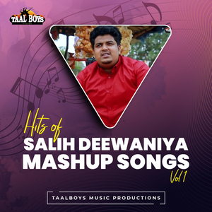Ajnabi Hit Of Salih Deewaniya Mashup Songs, Vol.1