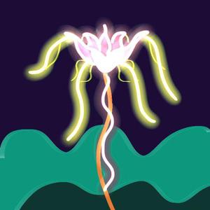 希望之花（纯音乐版）