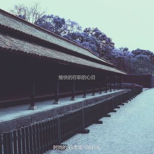 温和专注梦想