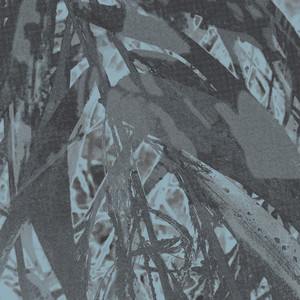 Masami (Instrumental)