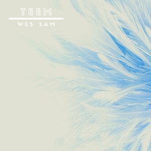 Teem
