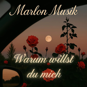 Warum willst du mich