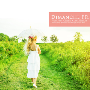 Brahms: 6 Piano Pieces Op.118 - III. Ballade. Allegro Energico
