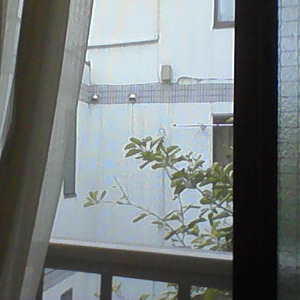 あなたの好きを好きになれたら (feat. 花隈千冬)