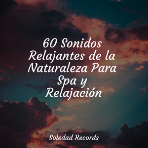 Navegando En La Nube