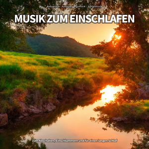 Welch Energie