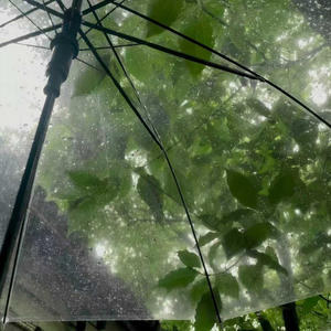 雨季终章