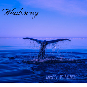Whalesong
