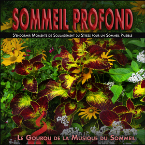 Débloquer l'état d'esprit du sommeil profond