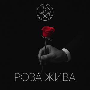 Роза Жива